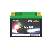 Skyrich Batterie Lithium-Ion Lifepo HJ01-FP