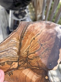 Deschutes Or Biggs Picture Jasper Slices