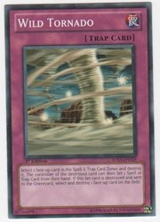 Wild Tornado 5DS3-EN029 Starter Deck: Duelist Toolbox 1st Edition Common