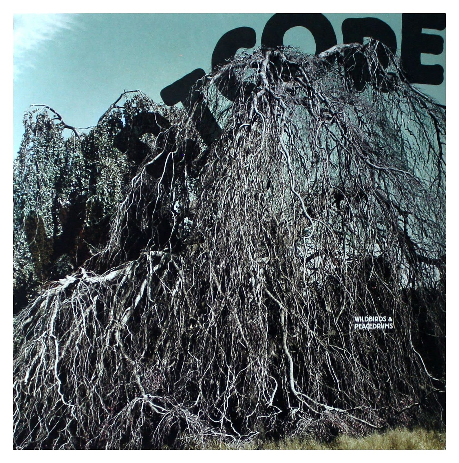 Wildbirds and Peacedrums Heartcore LP Vinyl BAY61V NEW