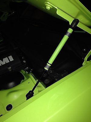 Hood Strut Cover Decal Graphic Dress Up Kit fits Dodge Charger CHOOSE YOUR COLOR Hood Strut Cover Decal Graphic Dress Up Kit fits Dodge Charger CHOOSE YOUR COLOR