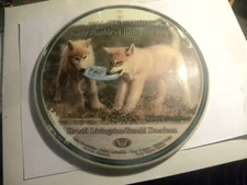 Innova Star Rancho Roc 180 gram golf disc 2014 Am World Doubles