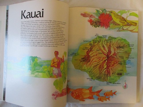 Beautiful Hawaii A Sunset Pictorial Soft Cover 1985 David E. Clark Editor - Picture 9 of 13