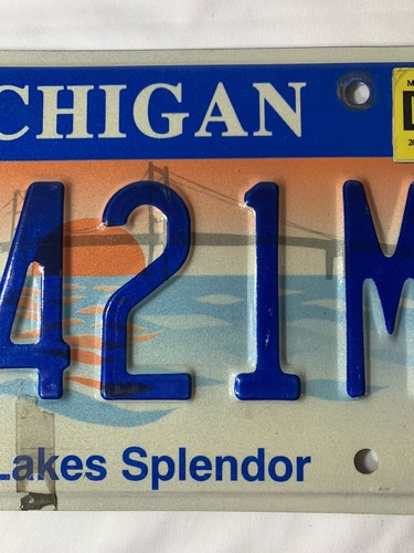 Michigan Handicap License Plate - Great Lakes Splendor - Good Condition - 第 4/6 張圖片