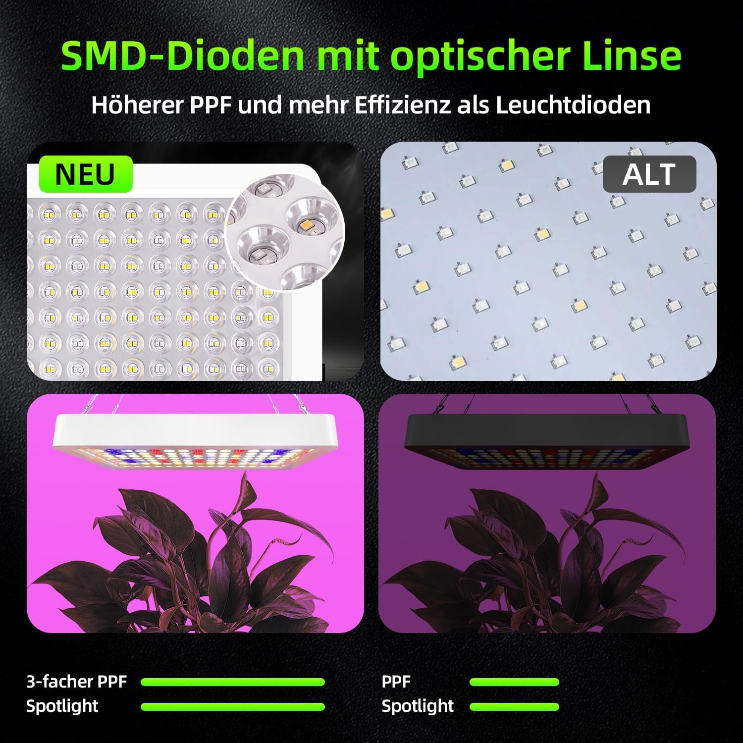 Bild 6 von 18