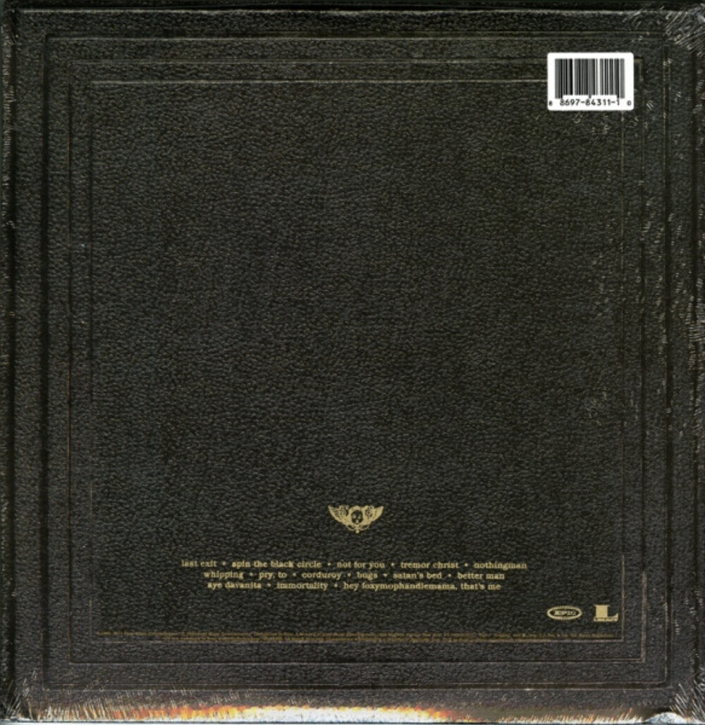 米2discs LP Pearl Jam Vitalogy 88697843111JK1 Epic, Legacy /00520 Pearl Jam - Vitalogy - Epic, Legacy - 88697843111-JK1 - 2xLP
