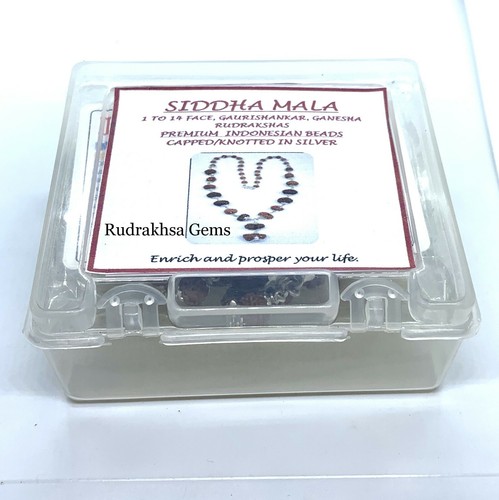 COLECCIONISTA SIDHA SIDDHA SIDH MALA 1 A 14 CUENTAS MUKHI RUDRAKSHA JAVA PLATA 925 - Imagen 5 de 9