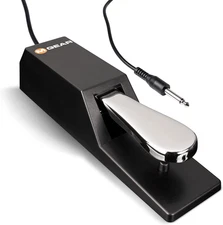 SP-2 - Universal Sustain Pedal with Piano Style Action for MIDI Keyboards, Digit