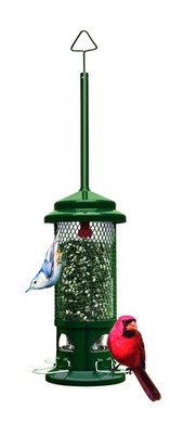 Squirrel Buster Standard Squirrel-proof Bird Feeder w/4 Metal Perches, 1.3-p...
