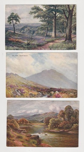8 postales, vistas de artistas del Reino Unido, etc. postales. Usado, sin usar. Frentes, traseros mostrados. - Imagen 4 de 7