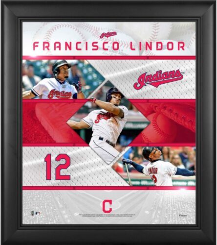 2019 Topps Luminaries Home Run Kings Auto /15 Francisco Lindor ｜MLB