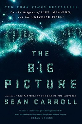 The Big Picture: On the Origins of Life, Meaning, and the Universe Itself by Ca