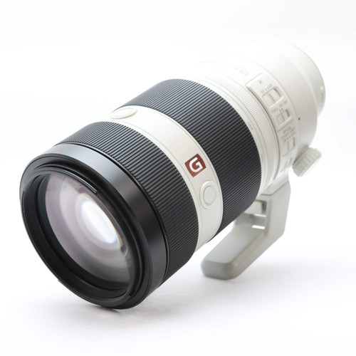 SONY FE 100-400mm F/4.5-5.6 GM OSS SEL100400GM (SONY E mount) #318