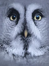 The Mountain Mens T-shirt Gray Face Of A Owl  Retired Logo 2XL #3913 NWOT