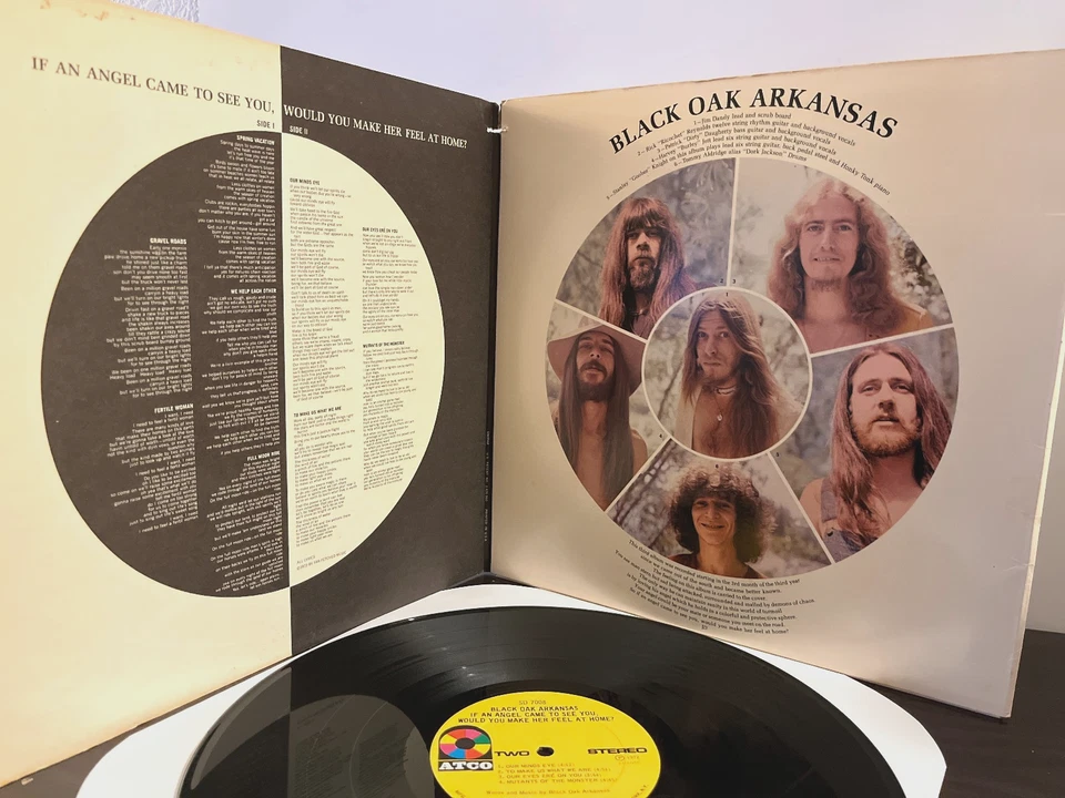 BLACK OAK ARKANSAS - If An Angel Came To See (1972) - 12" Vinyl Record LP - VG+ Foto 3 de 4