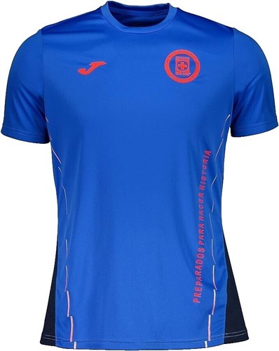 Maillot Domicile Borussia Dortmund 2013-2014 PUMA - Rare Taille S