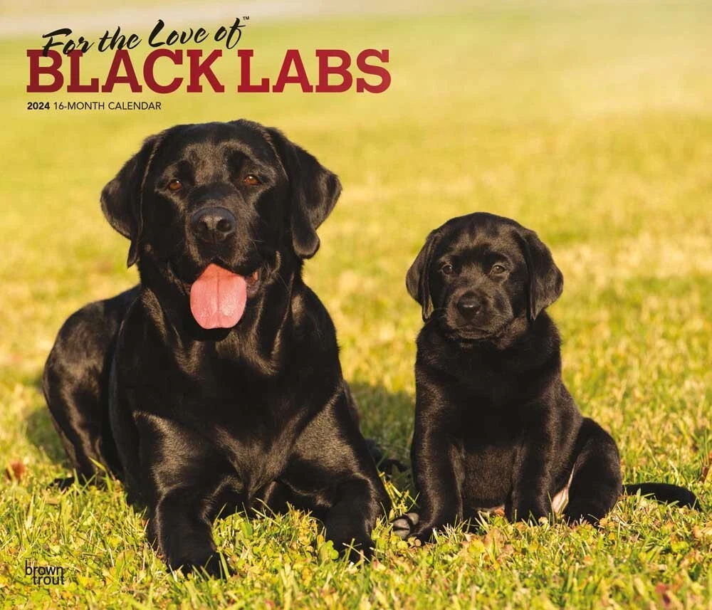 For the Love of Black Labrador Retrievers | 2024 14x24" Deluxe Wall Calendar  | eBay