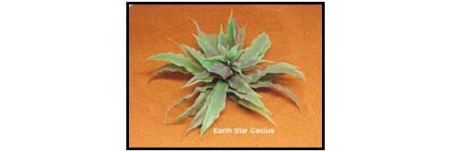 EUROZOO Earth Star Cactus Wasserkaktus Øca 20cm künstl. Terrarium Deko Plastikpflanze