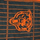 Picture 4 of 11