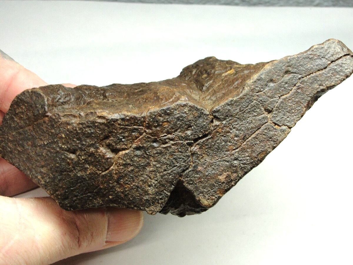 Meteorite - Oriented - Top Quality - Rare Orientation - SLS