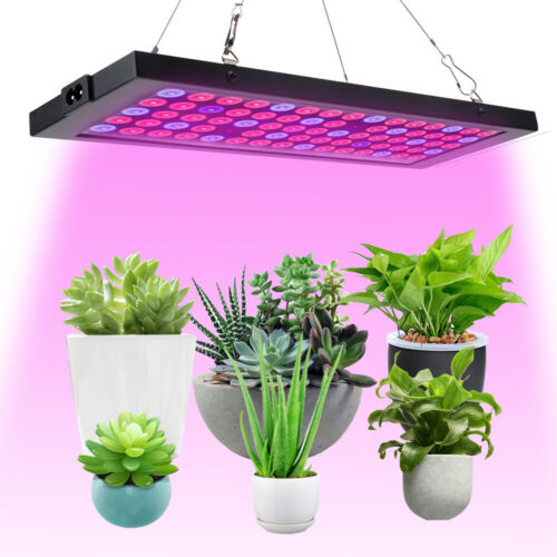 2000W Full Spectrum Plant LED Grow Light Veg Lamp For Indoor Hydroponic Plants - Picture 1 of 23