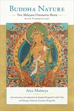 Image of Buddha Nature: The Mahayana Uttaratantra Shastra with Commentary