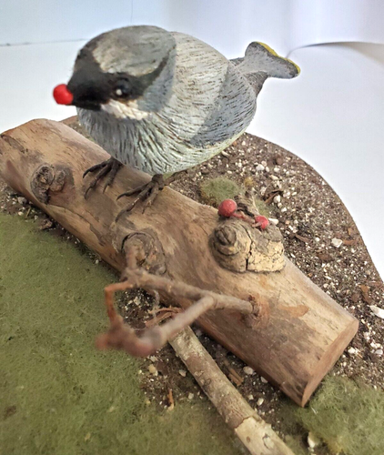 Hand Carved Wooden Cedar Waxwing Bird w/Berries on Diorama Display Base w/Branch - Picture 7 of 10