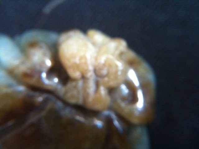 Picture 3 of 6