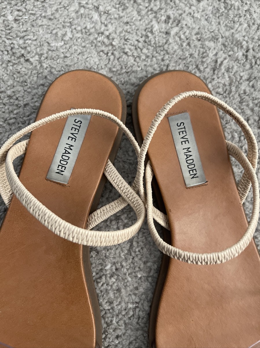 【レディース】Steve Madden Aryia ブーティ Steve Madden Aryia Bootie - Free Shipping | DSW