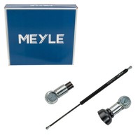 Meyle HeckklappendäMpfer FüR Renault Scenic II Grand Scenic II 8200377199