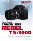 David Busch's Canon EOS Rebel T1i/500D Guide to Digital SLR Photography by David Busch (Paperback, 2009)