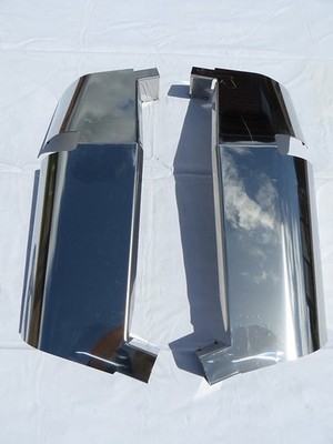 Scania R Serie Spiegelschutz (Edelstahl) Paar - Sofortversand 