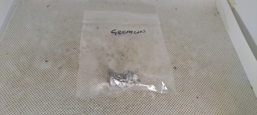 28mm Retro Warhammer - Gremlins - Picture 3 of 3