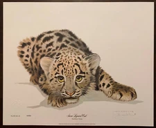 Wildlife Artist Jim Oliver Signed LE /750 Snow Leopard Cub 14x17 Litho Art Print