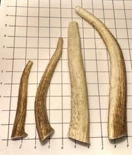 Single (1) Organic Deer/ Elk Antler Dog Chew! Sm, Med, LG, XL, XXL, Custom Sizes