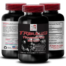 Active Support - TRIBULUS TERRESTRIS EXTRACT - Body Recharge 1 Bottle 90 Tablets