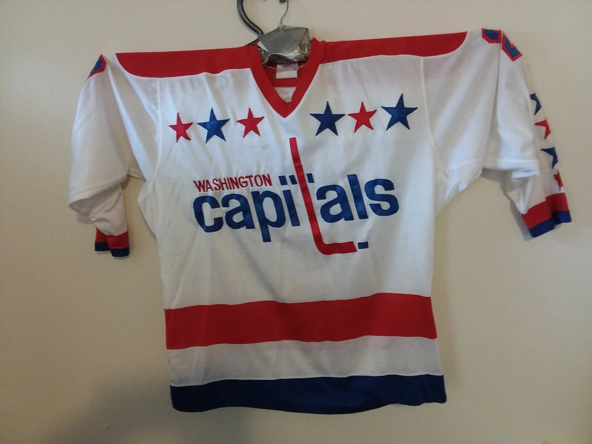 Mike Palmateer Capitals — Game Worn Goalie Jerseys