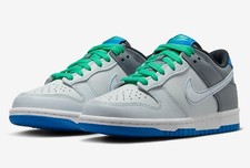 Nike Dunk Low GS Pure Platinum/White-Cool Grey DH9765-004 Unisex Shoes New.