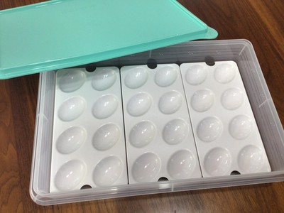 Tupperware Snack n Stor 13x9 Container with three Egg Insert tray cupcake NEW