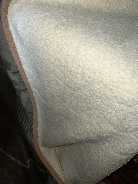 Bild 7 von 11