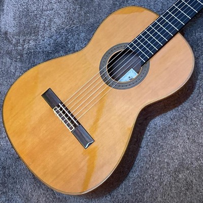 ARIA AC80 Owari Komaki store