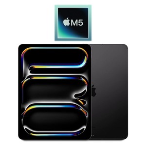 iPad Pro 13 inch M5 2TB | eBay