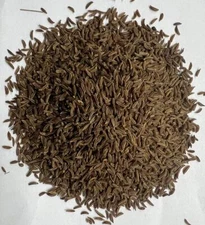 Bulk Caraway Seed, Seasoning, Spice, Vegan (select size below)