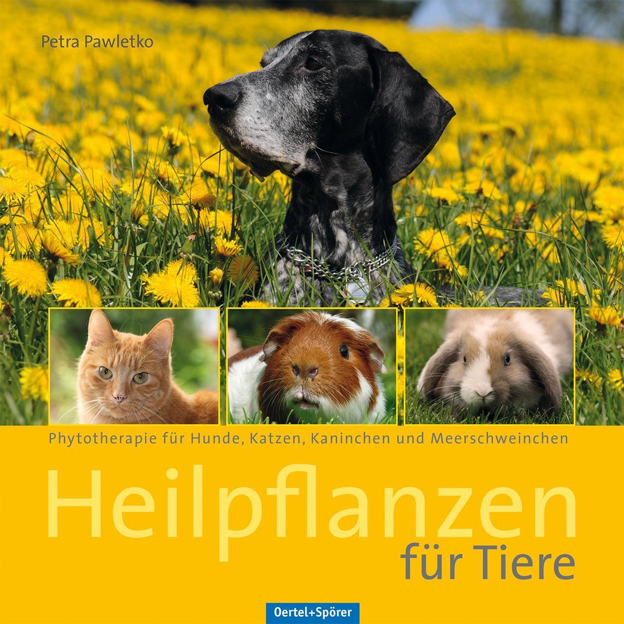 Thumbnail - Heilpflanzen Für Tiere | Phytotherapie Für Hunde, Katzen, Kaninchen