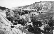 Birds Eye View Marsh Creek Vineyard Brentwood California CA - 8x12 Reprint