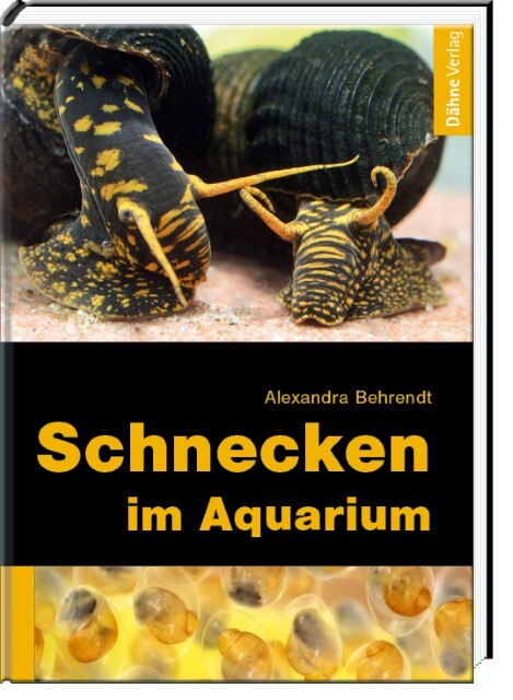 Thumbnail - Schnecken Aquarium Alexandra Behrendt 9783935175982