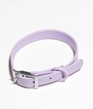 Wild One Dog Collar Size Small Neck Size 8-12in Color Lilac Very Stylish Unique