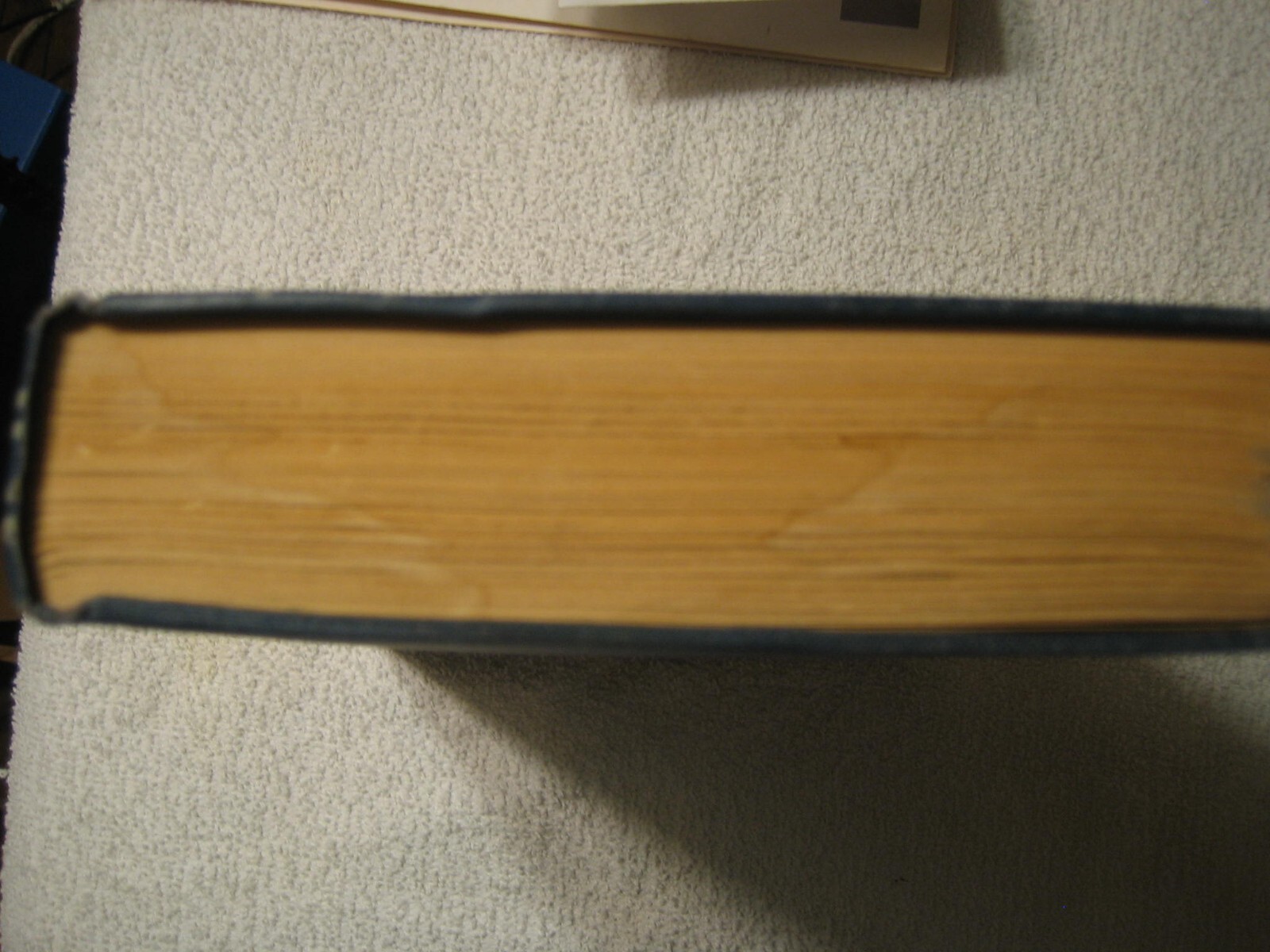 Picture 11 of 21