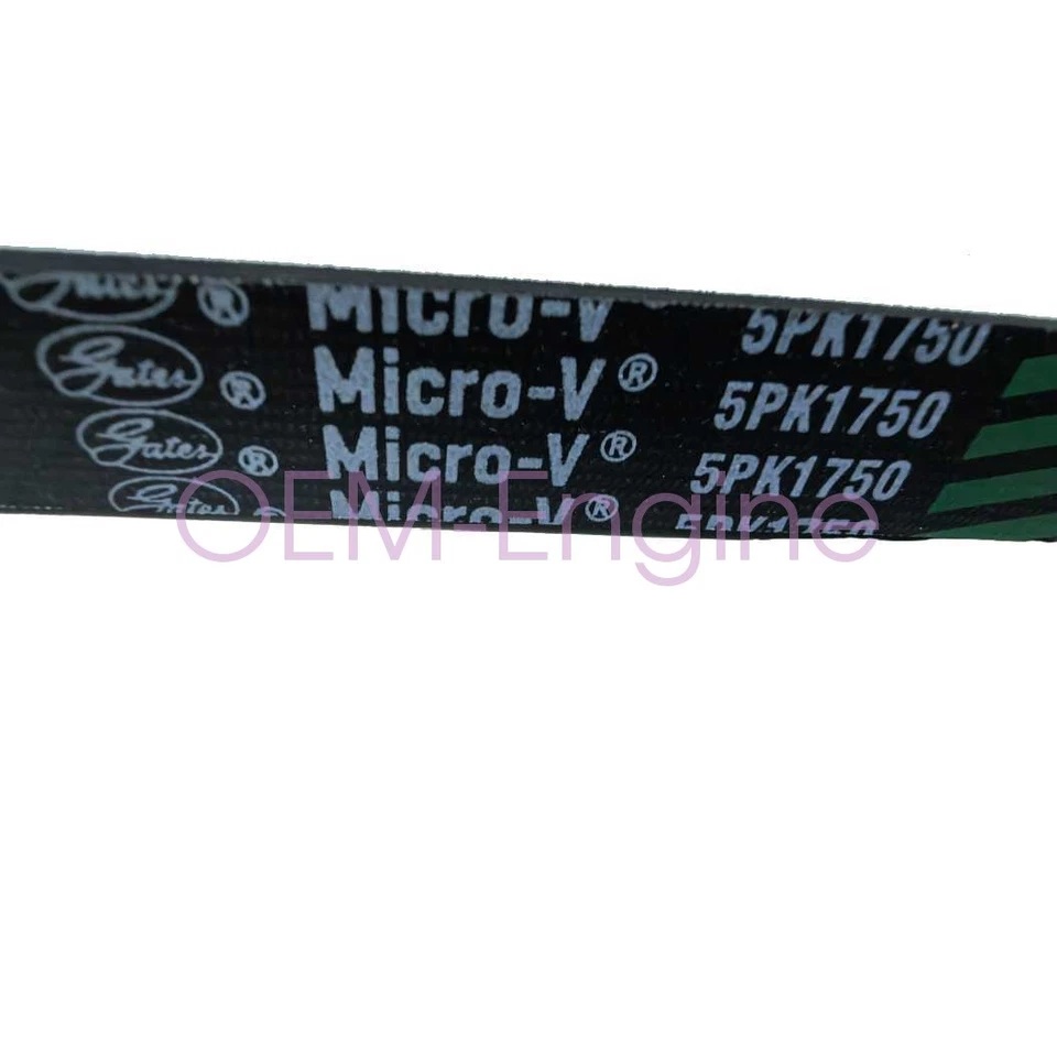 12627119&12664598 OEM Belt Tensioner Kit for 2.0 2.5 Chevrolet Camaro Equinox - Image 4 of 4