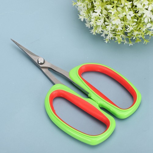 Grape Pruning Shears Bonsai Fruit Tree Branch Trimming Scissors Garden Tools - Picture 1 of 12